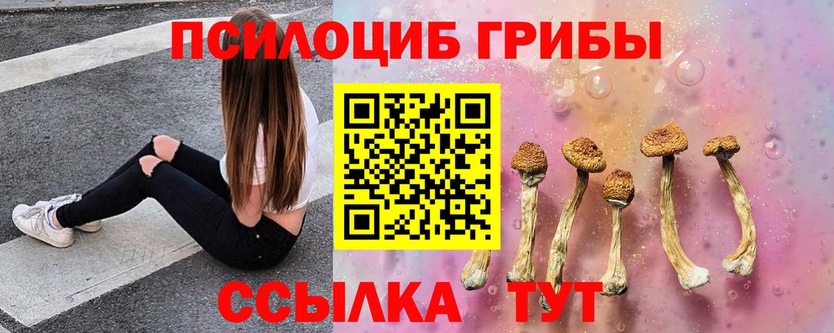 Галлюциногенные грибы Cubensis Миасс